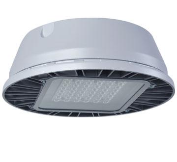 QLP, 32 LEDs, 3528 Lms, 88 Lms/W, 350mA, Asymmetric Distribution